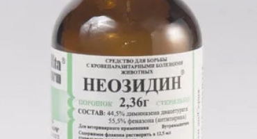 Неозидин: как да използваме антипаразитно лекарство за кучета